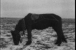 �����, �����! (1928) DVD5