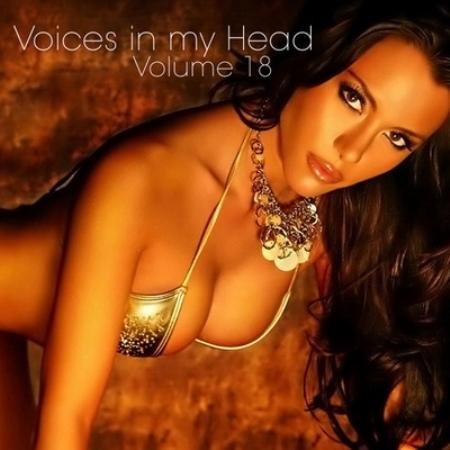 Voices in my Head Volume 18 (2011)