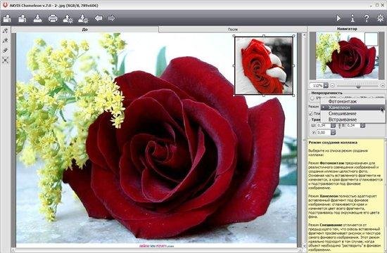 AKVIS Chameleon v7.5.1674.8209