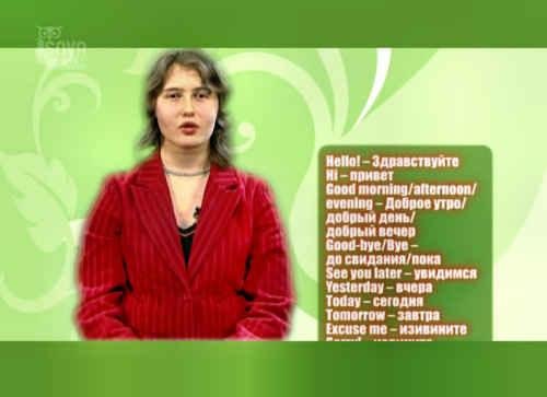 Easy English. ��������-���� ��� �������������� � ����������� (2008/DVDRip)