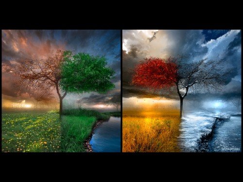30 Digital 3D Art Colorful Best Wallpapers { SET- 3 }