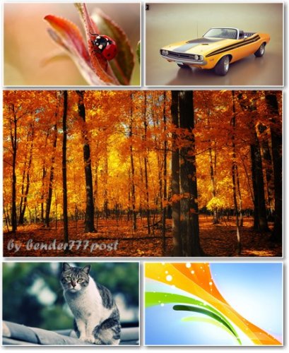 Best HD Wallpapers Pack 371