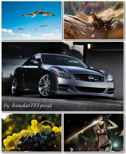 Best HD Wallpapers Pack 381