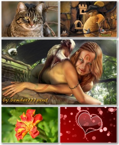 Best HD Wallpapers Pack �396