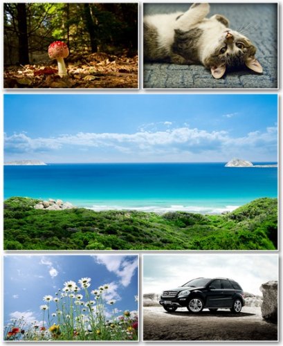 Best HD Wallpapers Pack 397