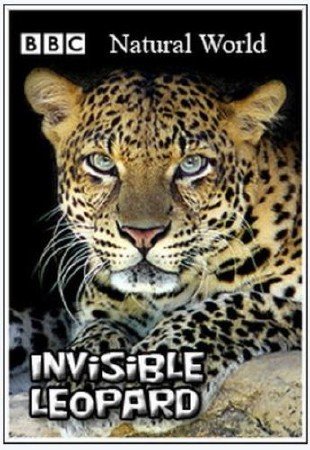 ��� �������. ��������� ������� / Natural World. Invisible Leopard (2009) SATRip