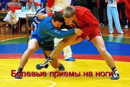 ���������� ����� ����: ������� ������ �� ���� (2010) DVDRip
