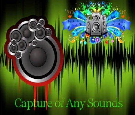 Capture of Any Sounds 2011 -  