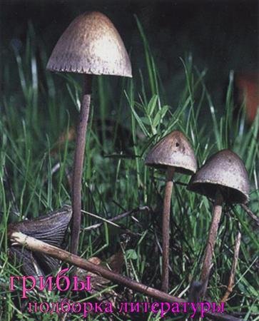 ����� - �������� ���������� (1902-2010) PDF/DJVU/CHM/DOC