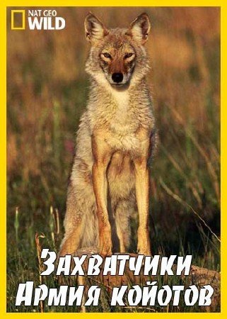 ����������. ����� ������� / The Invaders. Coyote Army (2011) SATRip