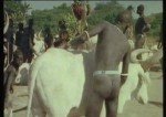 ���������� ����� / Magia Nuda (1975) DVDRip