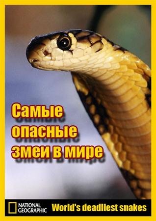 ����� ������� ���� � ���� / World's deadliest snakes (2010) HDTVRip