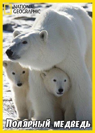 �������� ������� / Planet Carnivore: Ice Bear (2007) HDTVRip