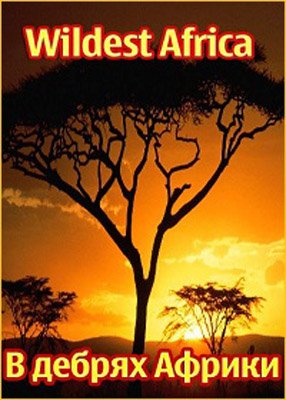  �������: ����� ������� / Namibia: The Sands of Time (2010) HDTVRip 