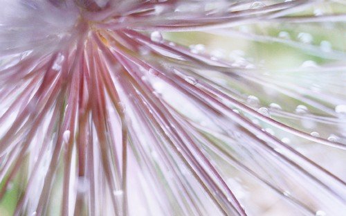 30 Window 7 Dreamy Unseen Desktop 3D HD Wallpapers { SET 8 }