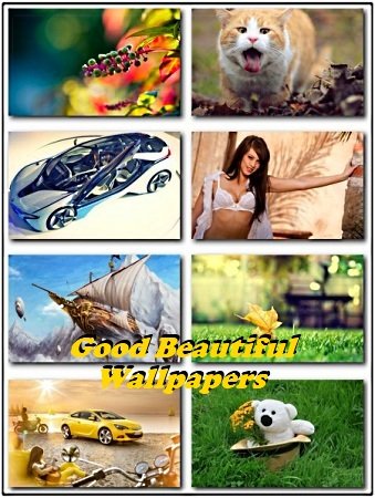   - Good beautiful Wallpapers ( 4)