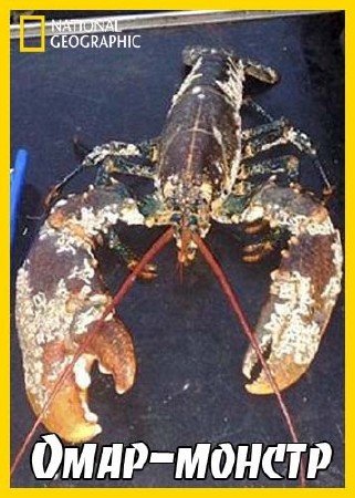 ����-������ / Monster lobster (2000) SATRip