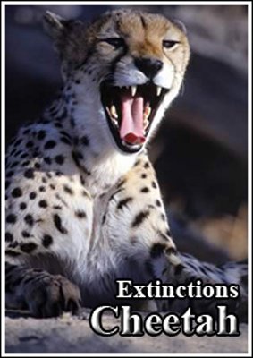  �������� ������. ������ / Extinctions. Cheetah (2010) SATRip 