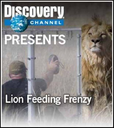 ��� ����������. ��� / Feeding Frenzy. Lion (2008) HDTVRip