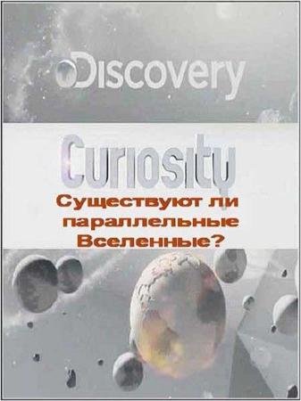 ���������� �� ������������ ��������� / Is There a Parallel Universes (2011) SATRip