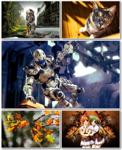 Best HD Wallpapers Pack �401