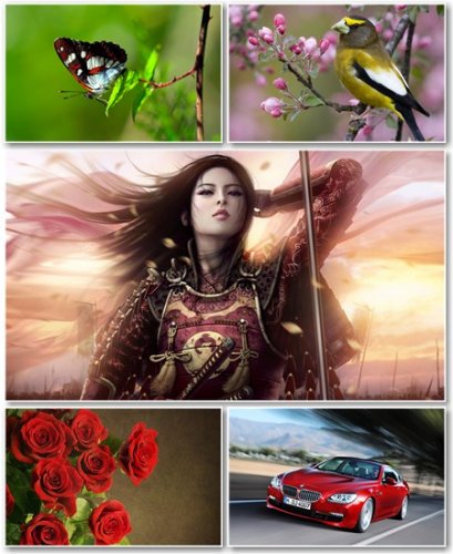 Best HD Wallpapers Pack 404