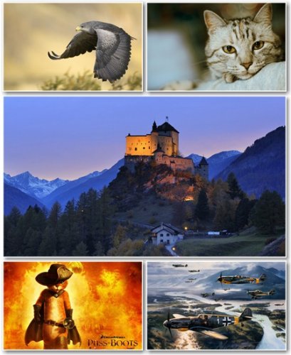 Best HD Wallpapers Pack �405