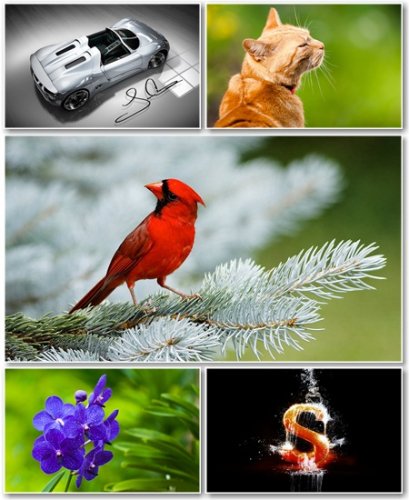 Best HD Wallpapers Pack 415
