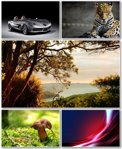 Best HD Wallpapers Pack 427