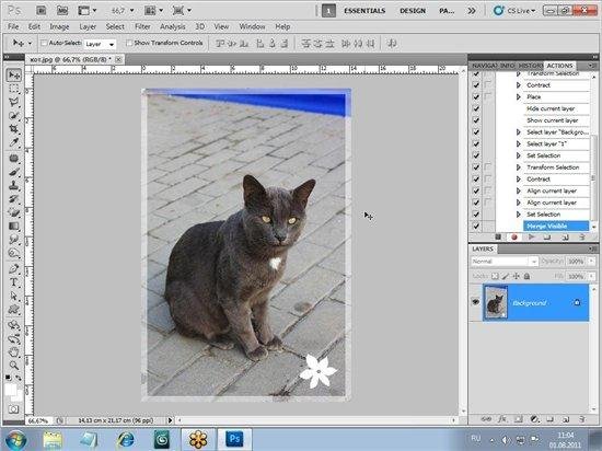 Adobe Photoshop CS5. ������� 2. ����������� ����������� (2011) RUS / WMV3