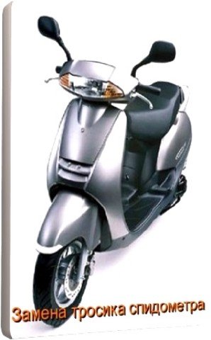 ������ ������� ���������� �� �������� Honda (2010) DVDRip