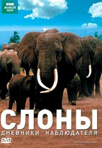 �����, �������� ����������� / Eye for an Elephant (2006) SATRip