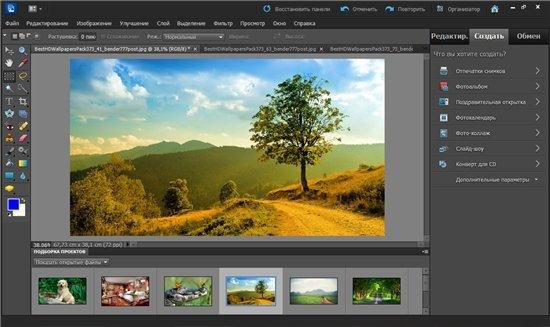 Adobe Photoshop Elements 10.0 Rus RePack by Strelec