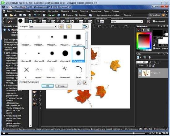 Corel PaintShop Photo Pro X3 ��� ��������� (2011) ���������