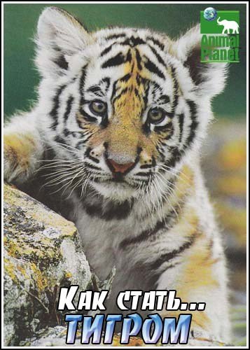 ��� �����...������ / Growing up tiger (2003) SatRip