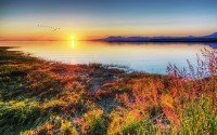 Wonderful Wallpapers for PC - ���� ��� �������� ����� � 214