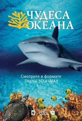 ������ ������ / Ocean Wonderland (2003) DVDRip