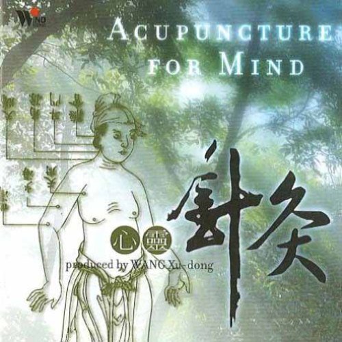 Wang Xu-dong - Acupuncture for mind (2001)