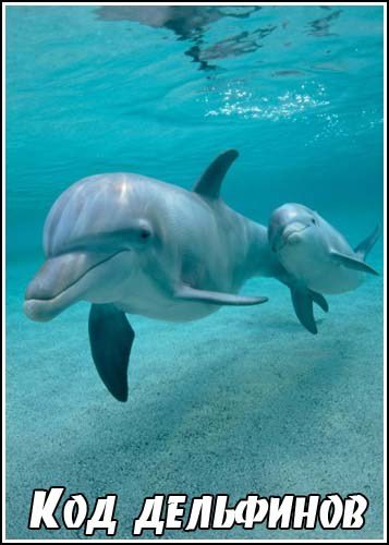 ��� ��������� / Dolphins - The Code Breakers (2006) IPTVRip
