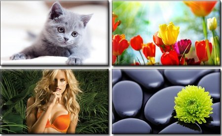 Amazing Wallpapers for PC -      - Super Pack 221