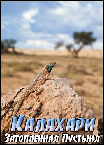 ��������. ����������� ������� / Kalahari. The Flooded Desert (2009) SATRip