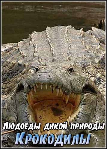 ������� ����� �������: ��������� / Attack! Africa`s Maneaters � Crocodiles (2000) DVDRip