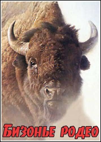 ������� ����� / Buffalo Rodeo (2008) SATRip