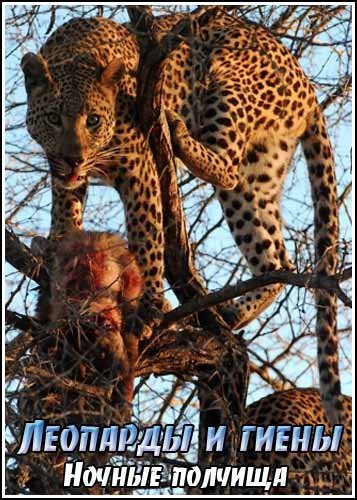 �������� � �����. ������ ������� / Leopards And Hyenas: The Armies Of The Night (1994) SATRip