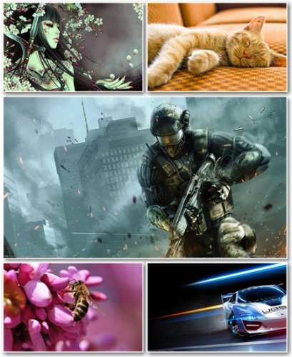 Best HD Wallpapers Pack 431