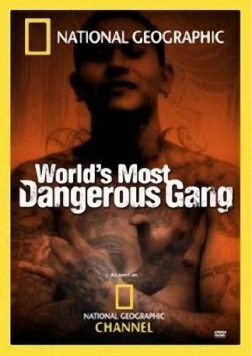 MS-13: ����� �������� ����� � ���� / MS-13: World`s Most Dangerous Gang (2005/DVDRip)