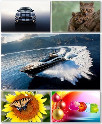 Best HD Wallpapers Pack 438