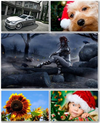Best HD Wallpapers Pack 447