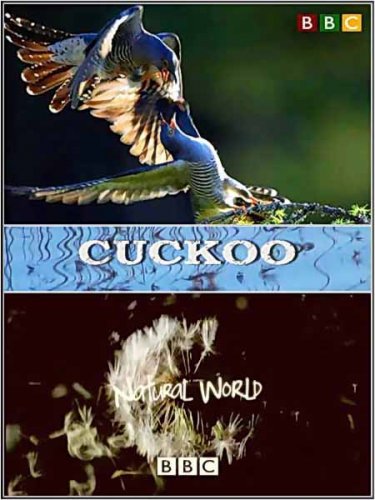 BBC: ��� �������. ������� / ���: The Natural World. Cuckoo (2009) DVB