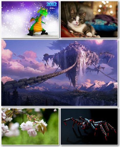 Best HD Wallpapers Pack 459